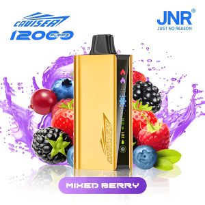JNR CRUISER 12000 Puffs Disposable Vape
