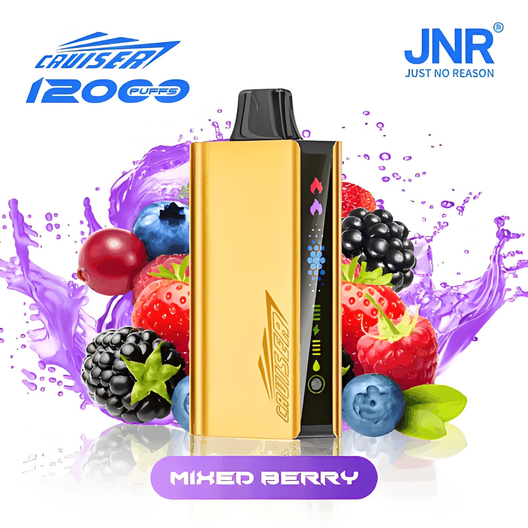 JNR CRUISER 12000 Puffs Disposable Vape