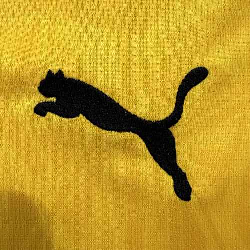 2026/27 Borussia Dortmund Home Football Jersey